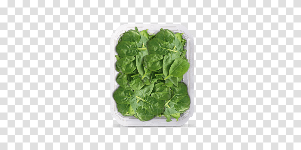 Spinach, Vegetable, Plant, Food, Pineapple Transparent Png