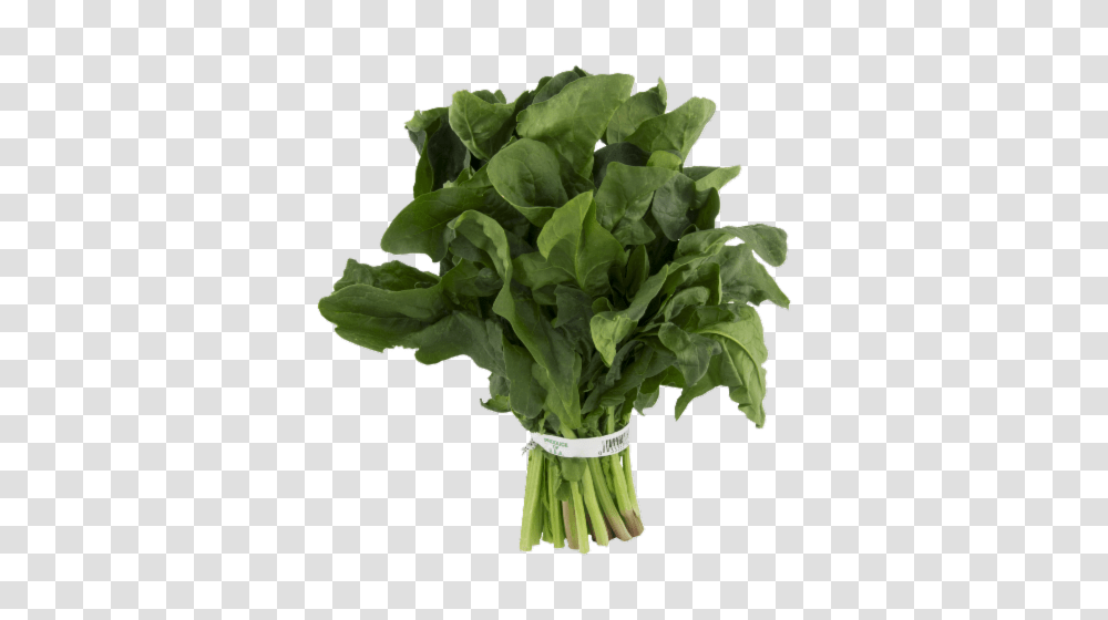 Spinach, Vegetable, Plant, Food, Produce Transparent Png