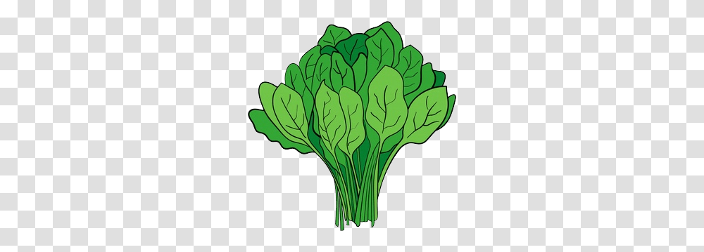 Spinach, Vegetable, Plant, Food, Produce Transparent Png