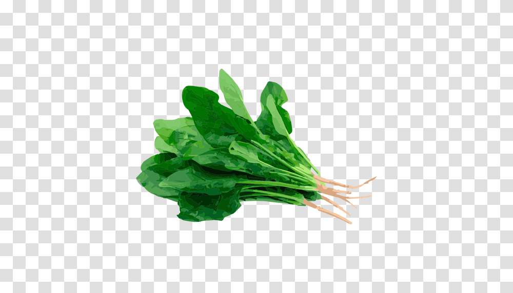 Spinach, Vegetable, Plant, Food, Produce Transparent Png