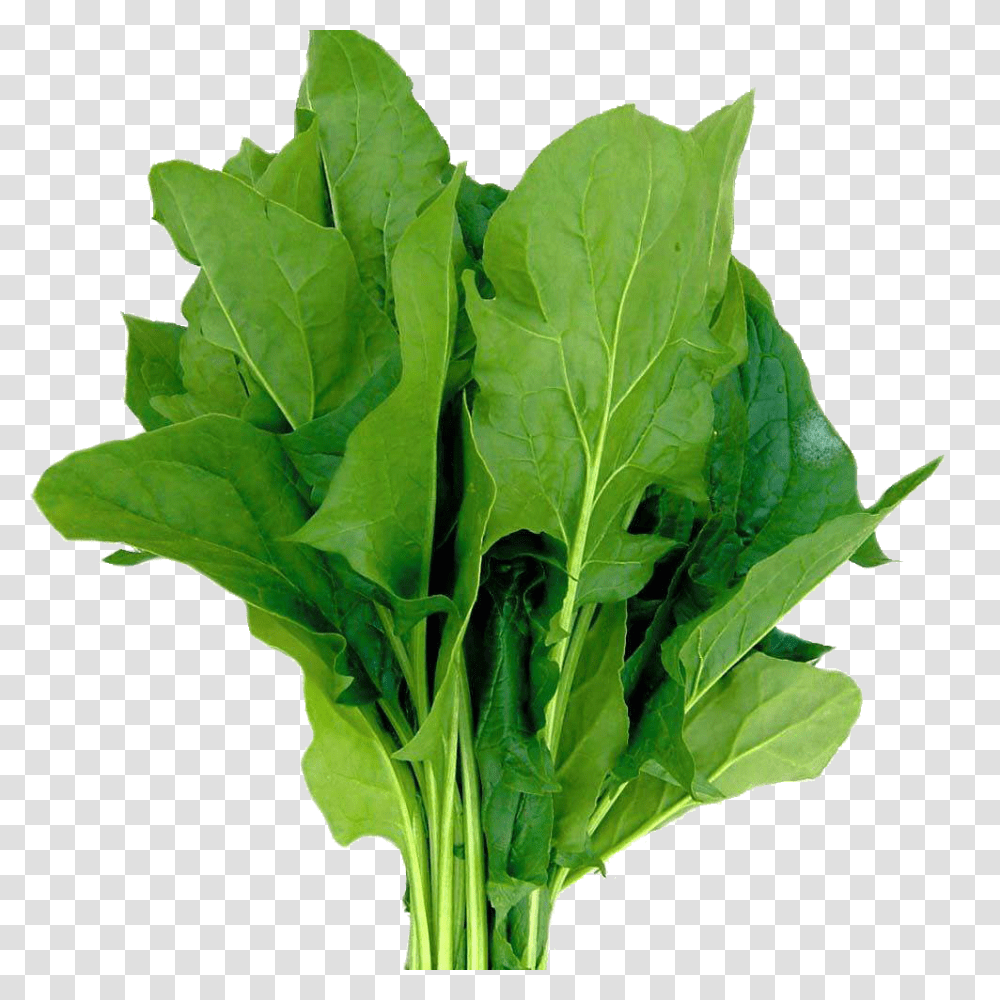 Spinach, Vegetable, Plant, Food, Produce Transparent Png