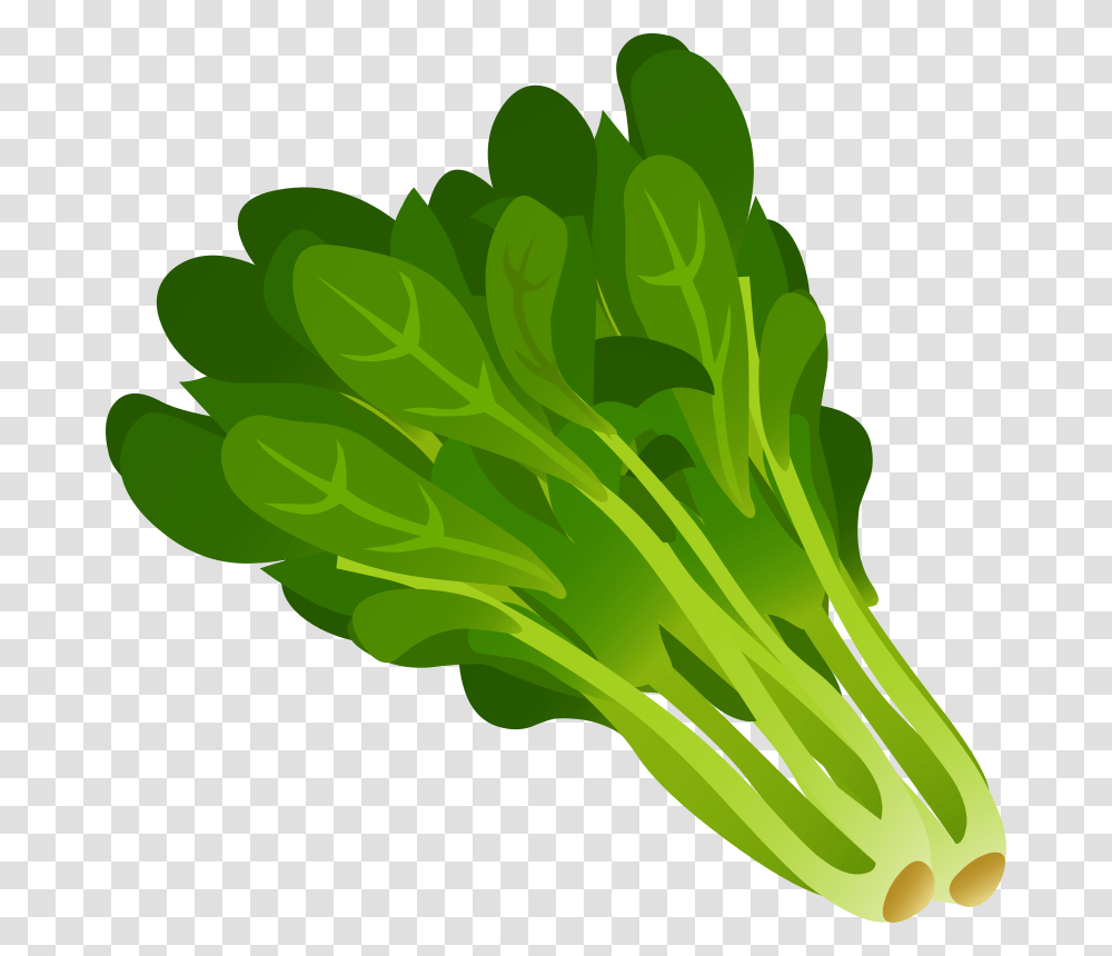 Spinach, Vegetable, Plant, Food, Produce Transparent Png