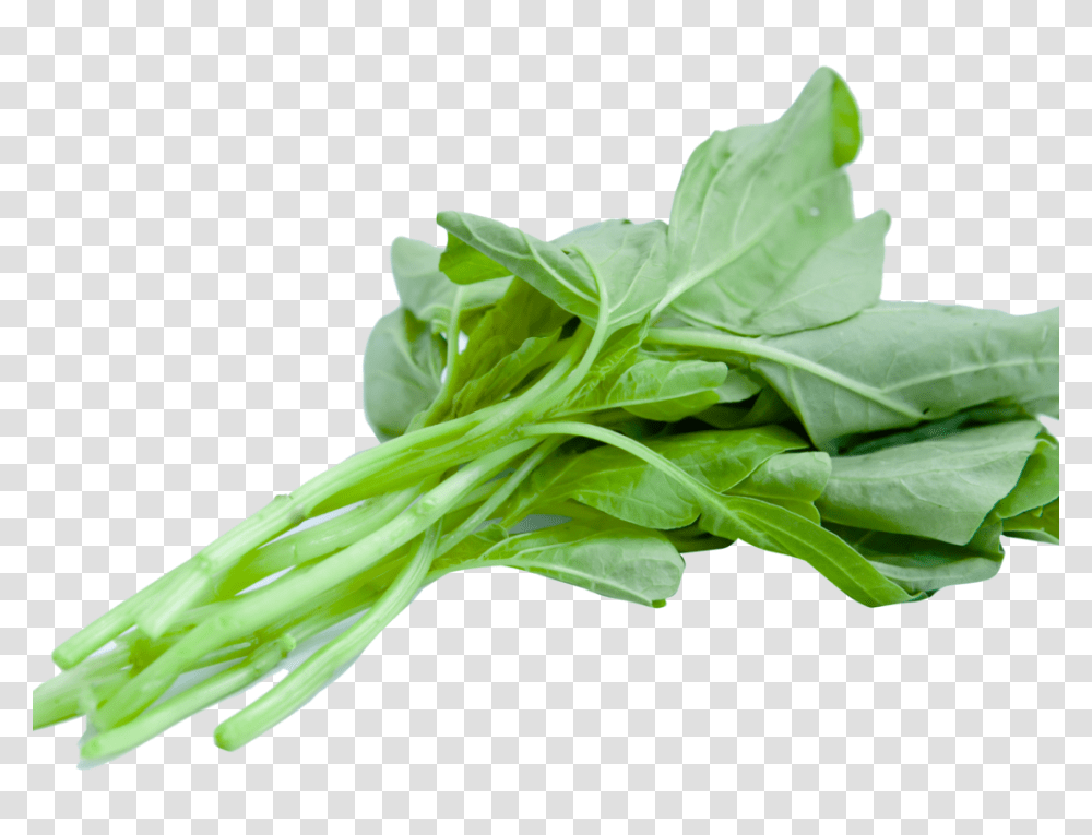 Spinach, Vegetable, Plant, Food, Produce Transparent Png
