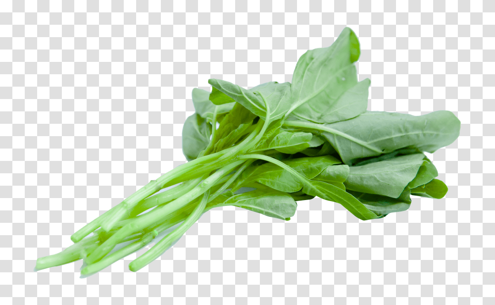 Spinach, Vegetable, Plant, Food, Produce Transparent Png