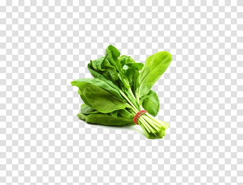 Spinach, Vegetable, Plant, Food, Produce Transparent Png