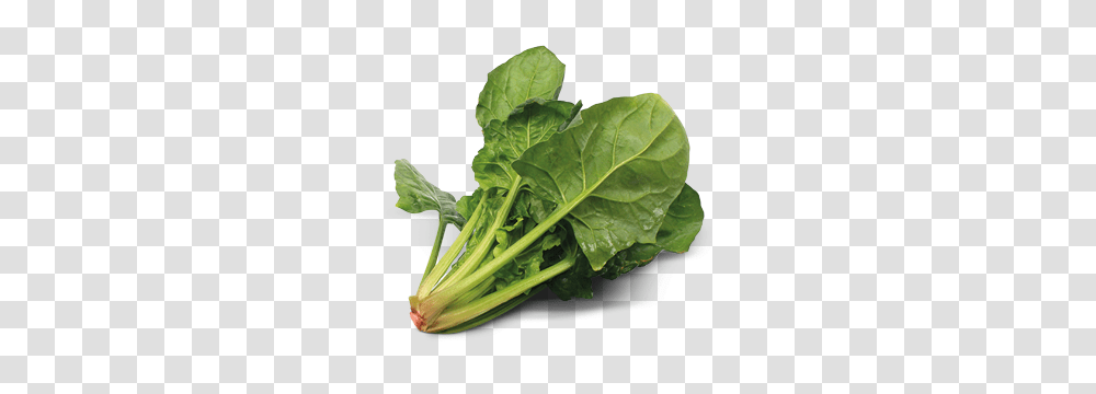 Spinach, Vegetable, Plant, Food, Produce Transparent Png