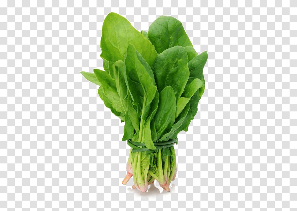 Spinach, Vegetable, Plant, Food, Produce Transparent Png