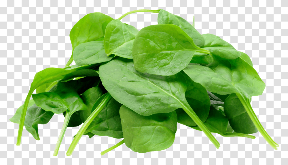 Spinach, Vegetable, Plant, Food Transparent Png