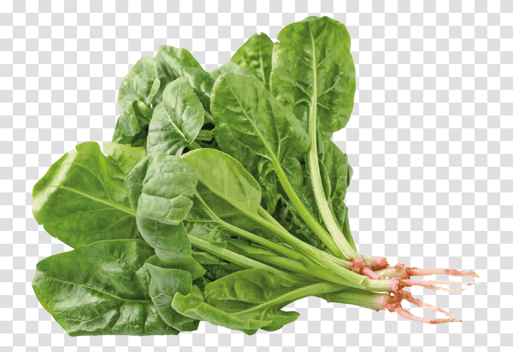 Spinach, Vegetable, Plant, Food Transparent Png
