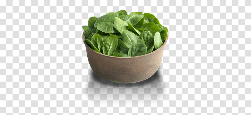 Spinach, Vegetable, Plant, Food Transparent Png