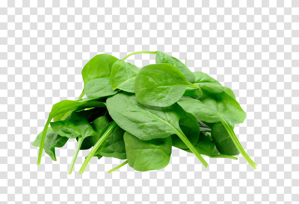 Spinach, Vegetable, Plant, Food Transparent Png