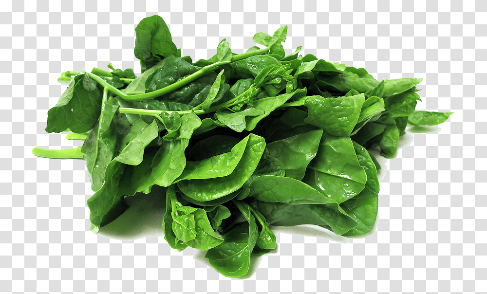 Spinach, Vegetable, Plant, Food Transparent Png