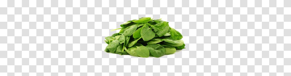 Spinach, Vegetable, Plant, Food Transparent Png