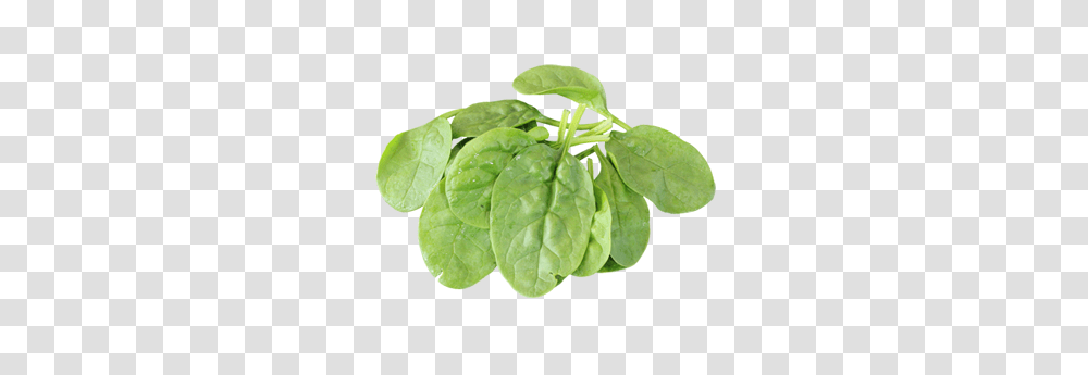 Spinach, Vegetable, Plant, Food Transparent Png