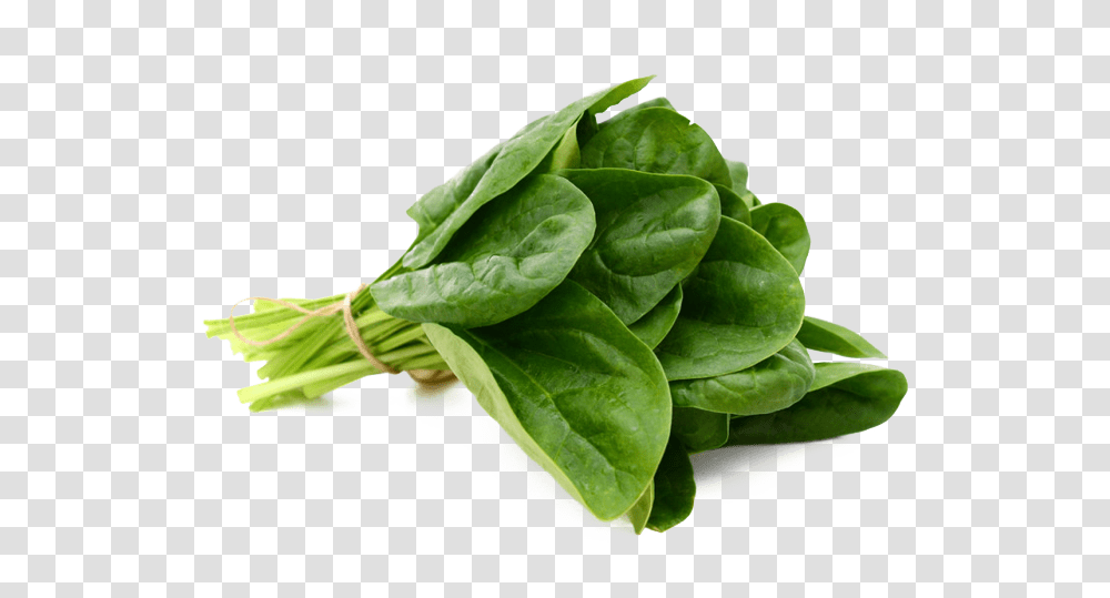 Spinach, Vegetable, Plant, Food Transparent Png