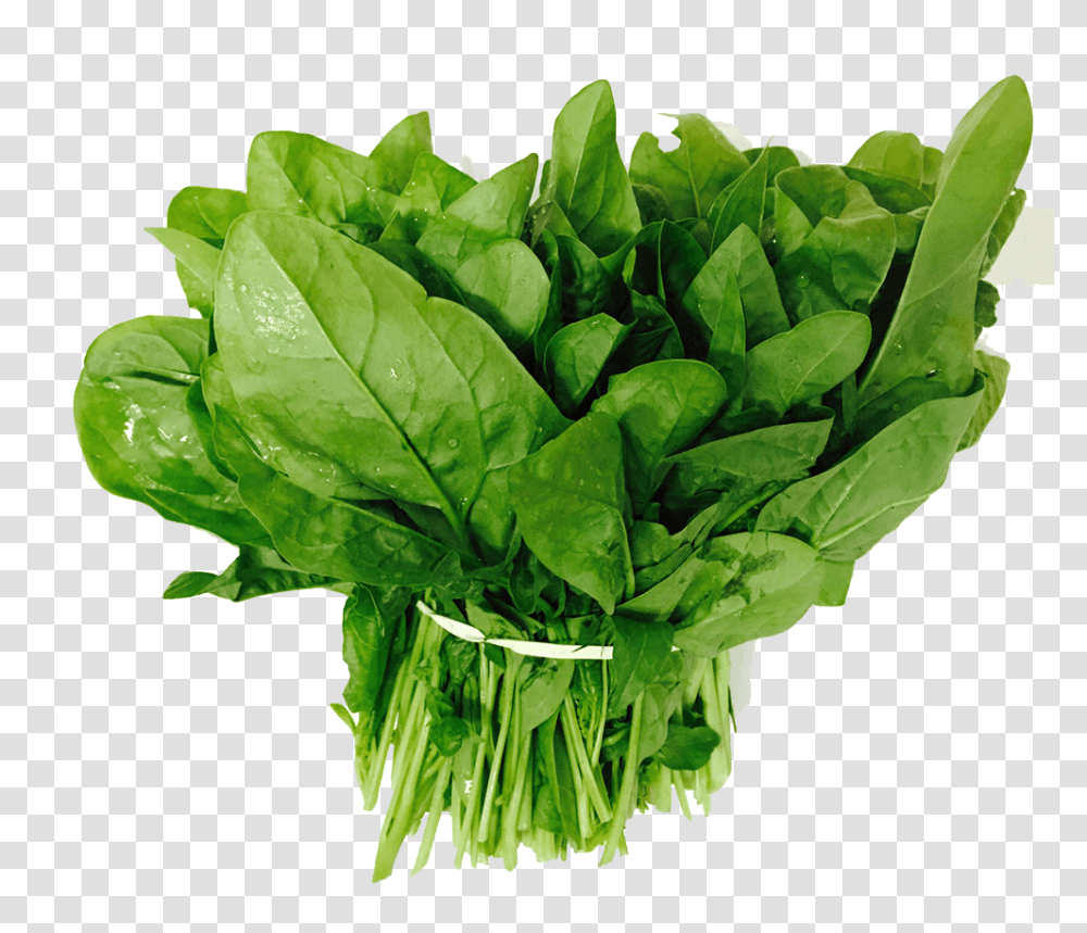 Spinach, Vegetable, Plant, Food Transparent Png