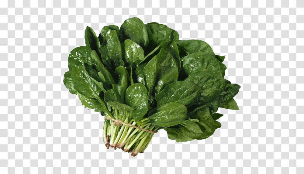 Spinach, Vegetable, Plant, Food Transparent Png