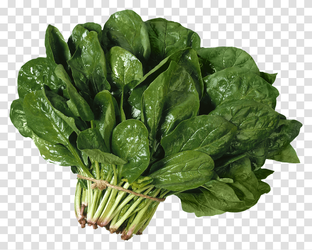 Spinach, Vegetable, Plant, Food Transparent Png
