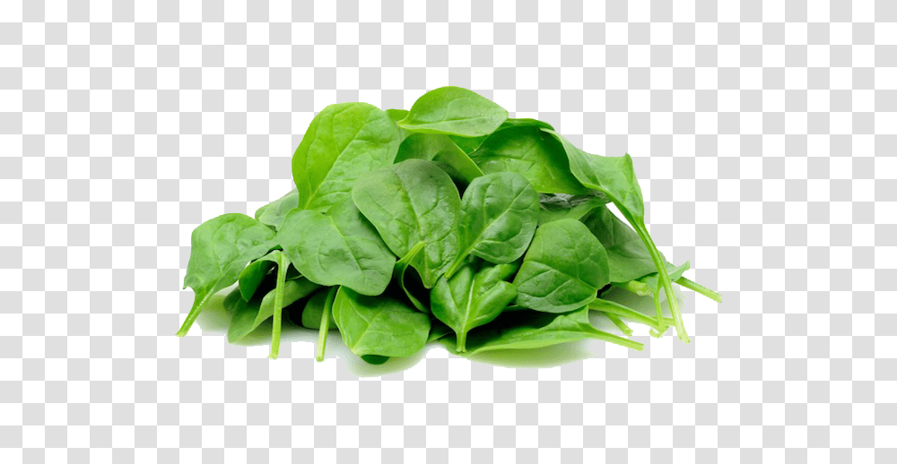 Spinach, Vegetable, Plant, Food Transparent Png