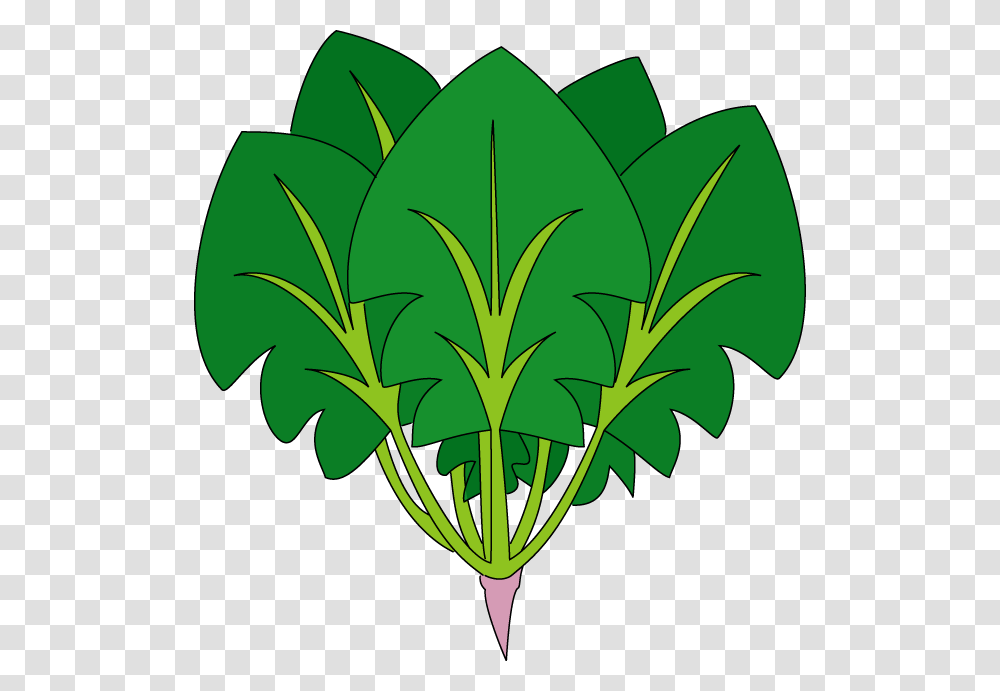Spinach, Vegetable, Plant, Potted Plant, Vase Transparent Png
