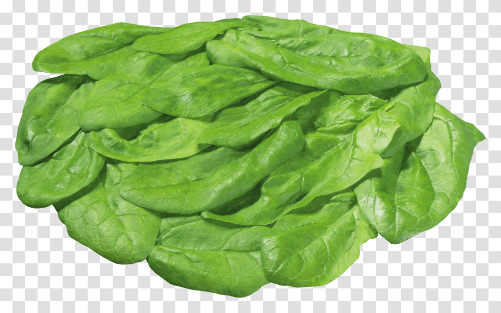 Spinach, Vegetable Transparent Png