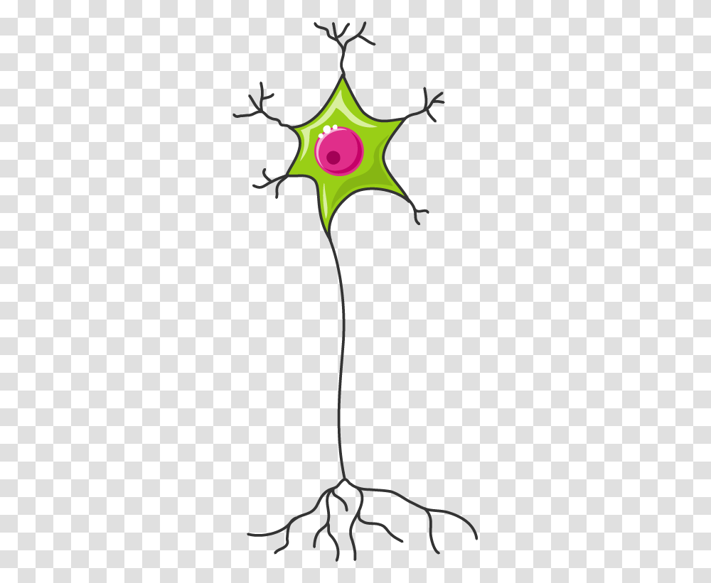 Spinal Cord Section, Plant, Kite, Toy, Flower Transparent Png