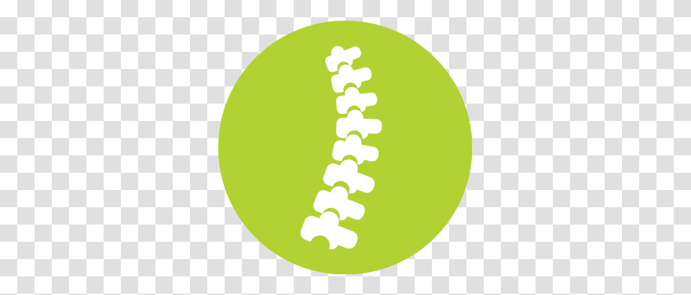 Spinal Cord Surgery, Tennis Ball, Sport, Sports, Teeth Transparent Png