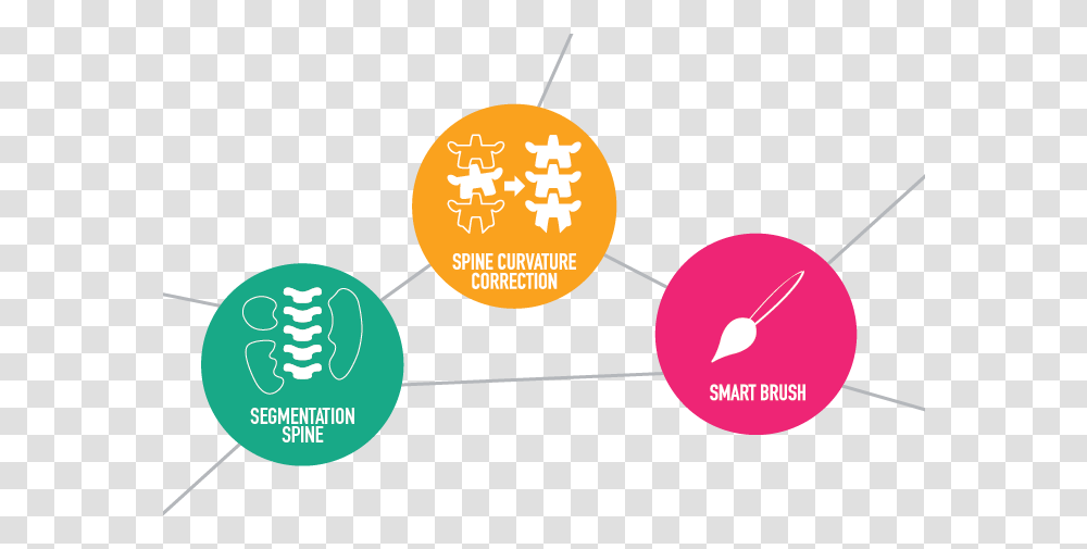 Spine Contouring With Brainlab Elements Vertebrae Logo, Outdoors, Land, Nature, Vegetation Transparent Png