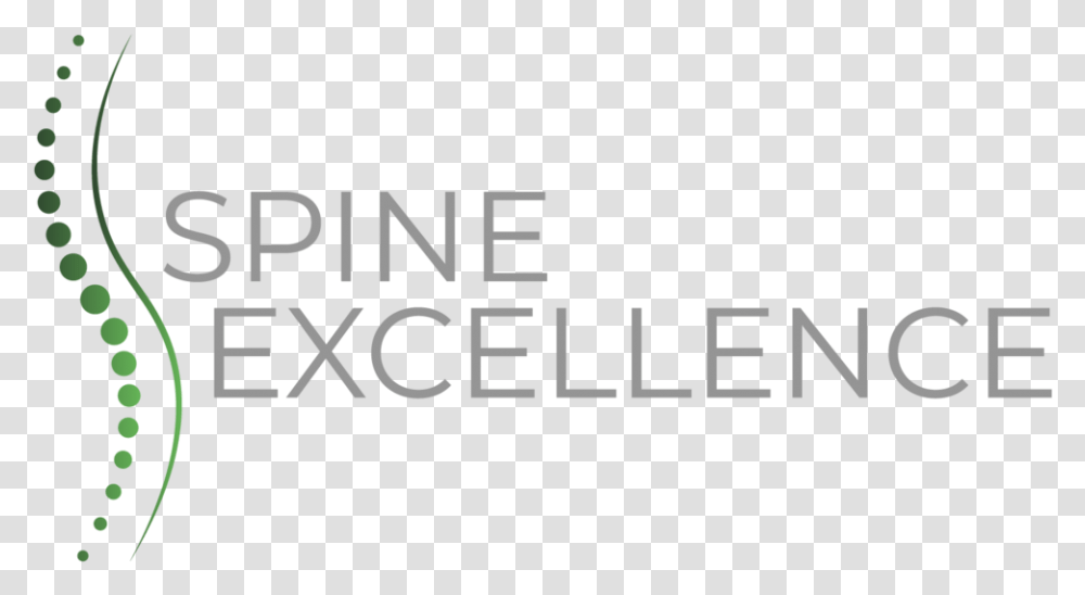 Spine Excellence Logo, Alphabet, Word Transparent Png