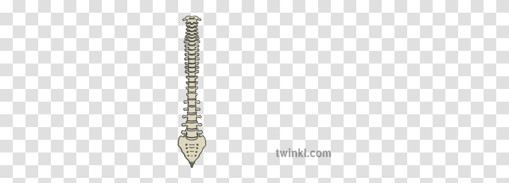 Spine Illustration Sword, Screw, Machine, Skeleton Transparent Png
