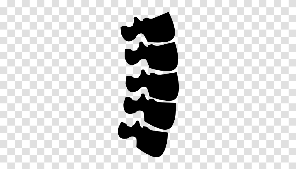 Spine Medical Bones Icon With And Vector Format For Free, Gray, World Of Warcraft Transparent Png