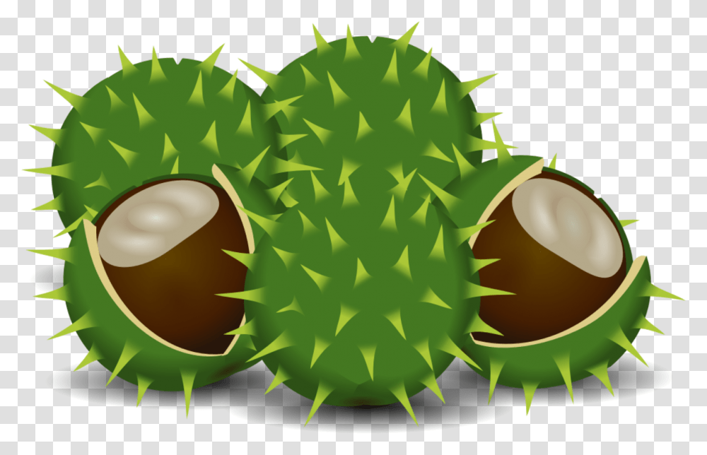 Spines And Prickles Durian, Plant, Produce, Food, Seed Transparent Png