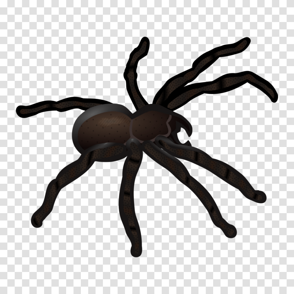 Spinne Coloured Clip Art Spider, Invertebrate, Animal, Arachnid, Tarantula Transparent Png