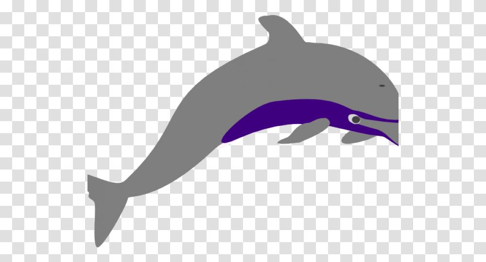 Spinner Dolphin Clipart Common Dolphin, Mammal, Sea Life, Animal Transparent Png