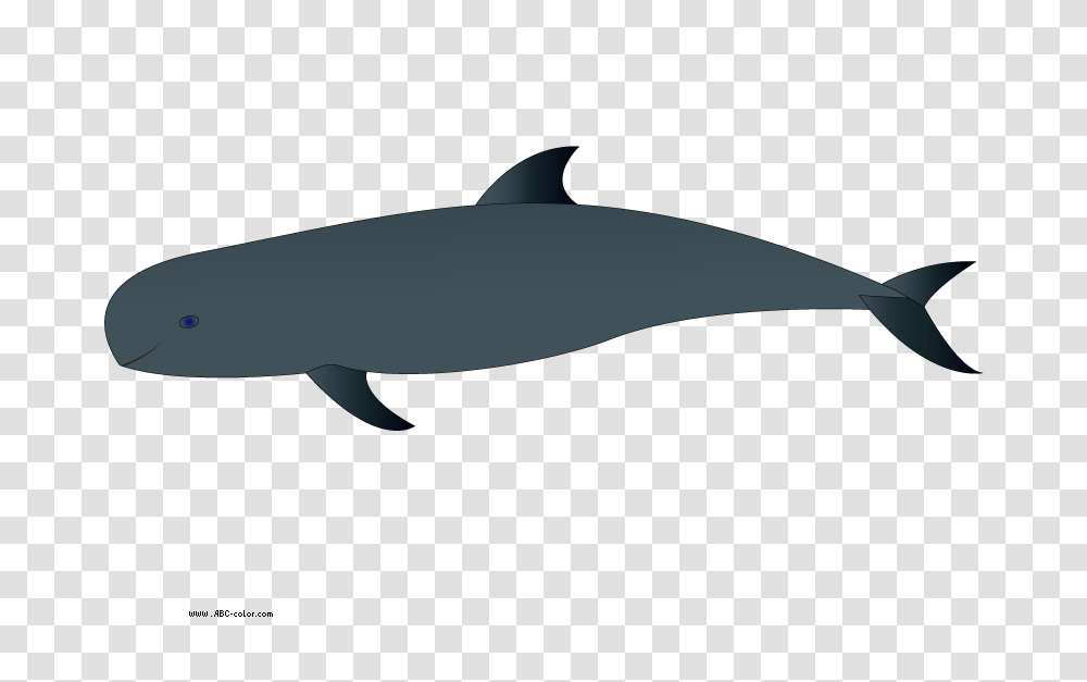Spinner Dolphin Clipart Wholphin, Knife, Blade, Weapon, Weaponry Transparent Png