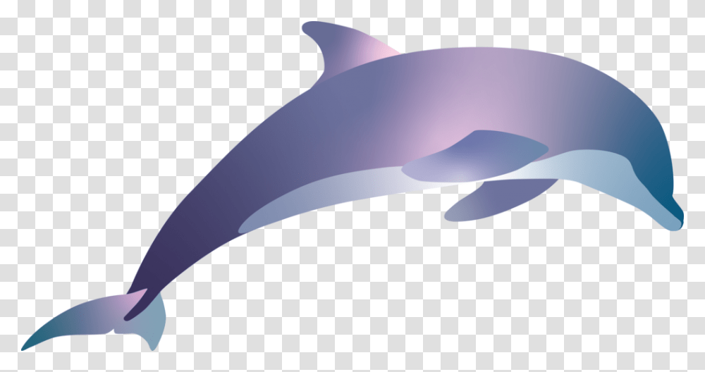 Spinner Dolphin, Mammal, Sea Life, Animal Transparent Png