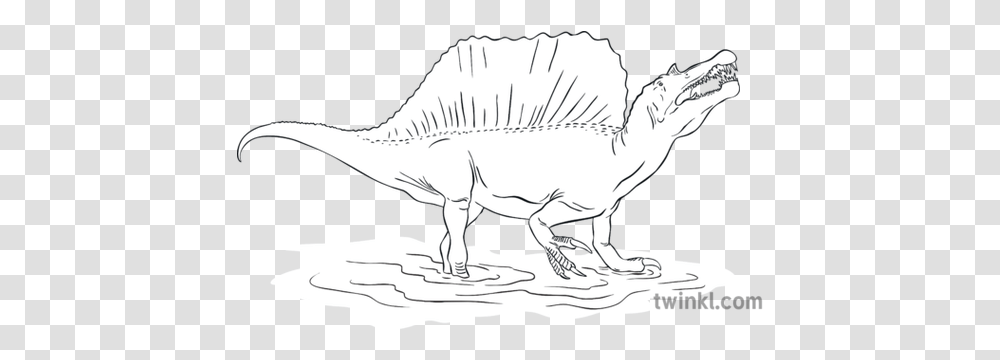 Spinosaurus Animal Dinosaur Nature Extinct Dinosaurs Whose Theropods, Person, Human, Drawing, Art Transparent Png