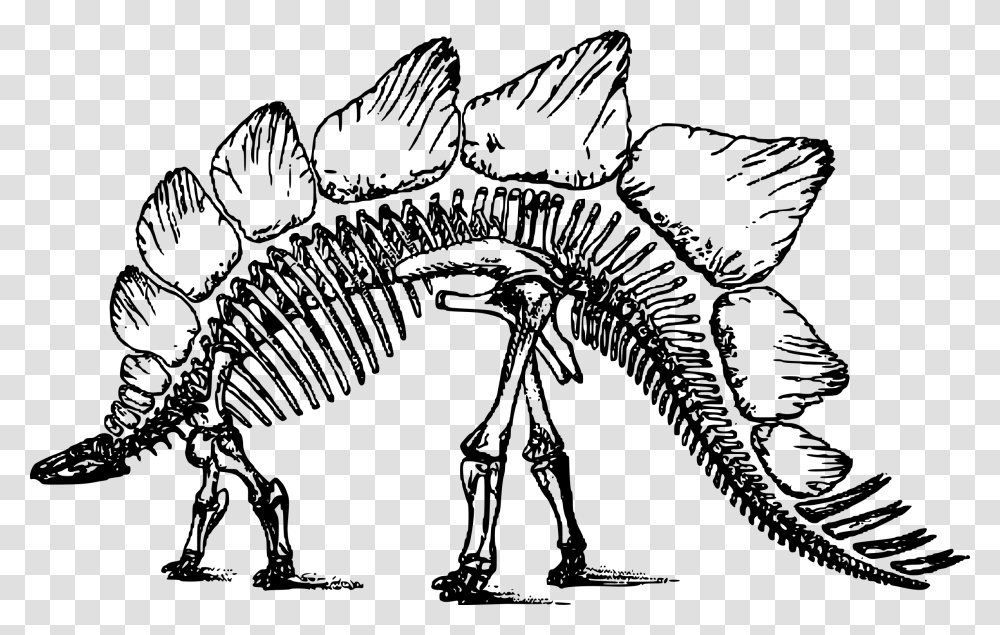 Spinosaurus Clipart Dinosaur Skeleton, Gray, World Of Warcraft Transparent Png