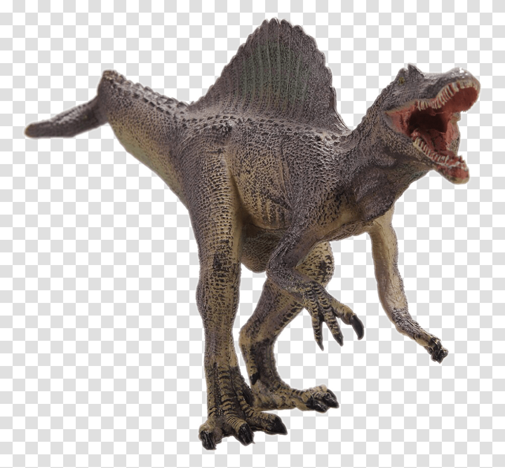 Spinosaurus, Dinosaur, Reptile, Animal, T-Rex Transparent Png
