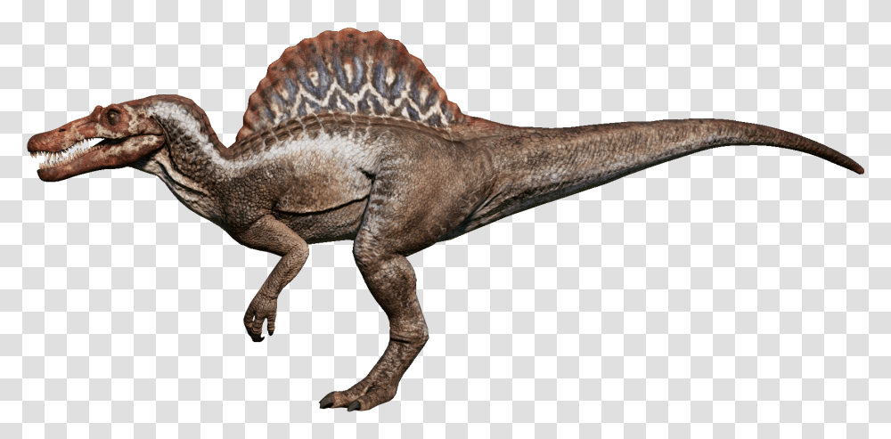 Spinosaurus, Dinosaur, Reptile, Animal, T-Rex Transparent Png