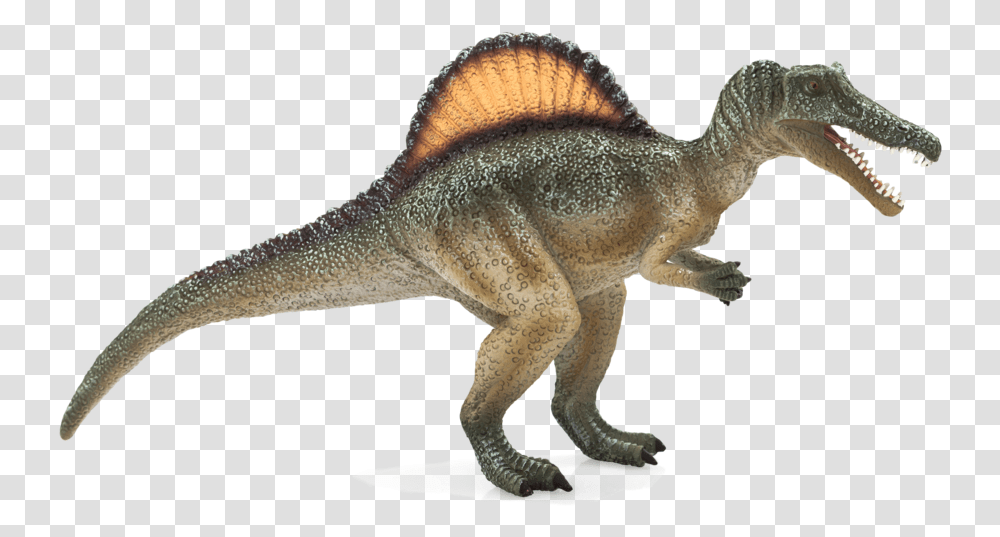 Spinosaurus, Dinosaur, Reptile, Animal, T-Rex Transparent Png