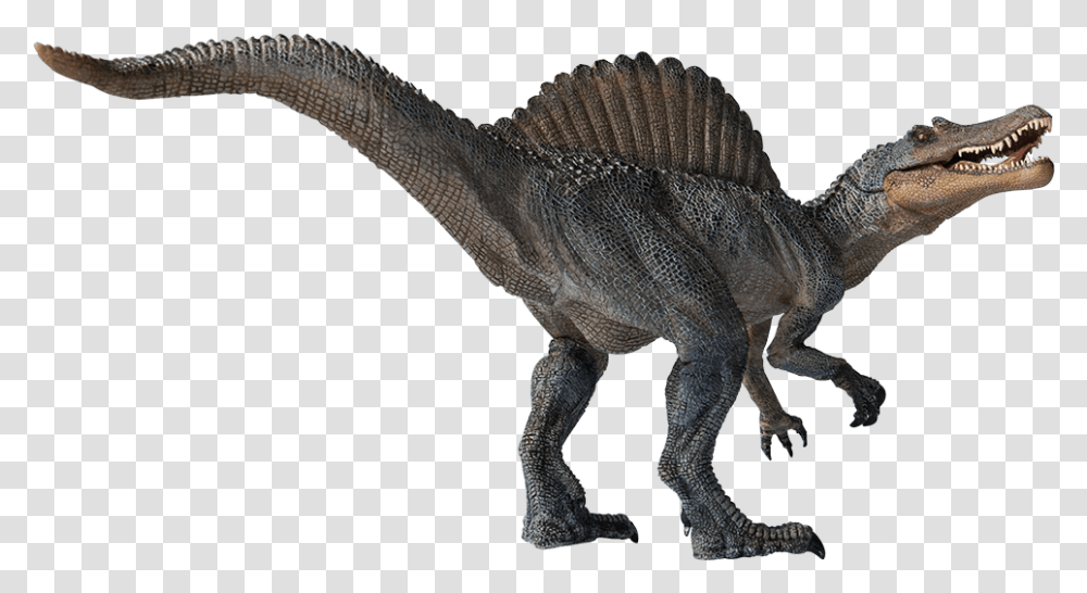 Spinosaurus Image Spinosaurus, Dinosaur, Reptile, Animal, T-Rex Transparent Png