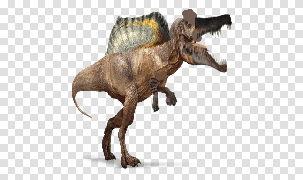 Spinosaurus Pic Spinosaurus, Dinosaur, Reptile, Animal, T-Rex Transparent Png