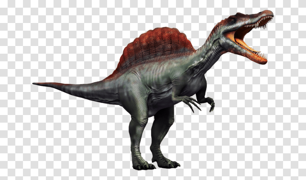 Spinosaurus Picture Spinosaurus, Dinosaur, Reptile, Animal, T-Rex Transparent Png