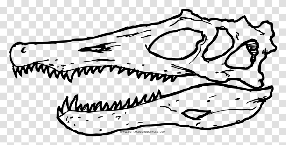 Spinosaurus Skull Coloring Page, Gray, World Of Warcraft Transparent Png