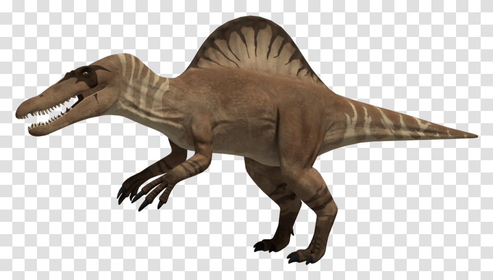 Spinosaurus Spinosaurus, Dinosaur, Reptile, Animal, T-Rex Transparent Png