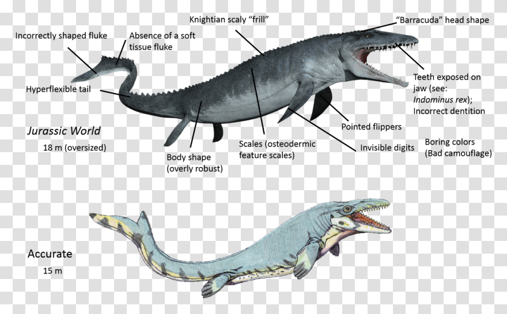 Spinosaurus The Fisher Jurassic World Mosasaurus, Animal, Sea Life, Bird, Shark Transparent Png