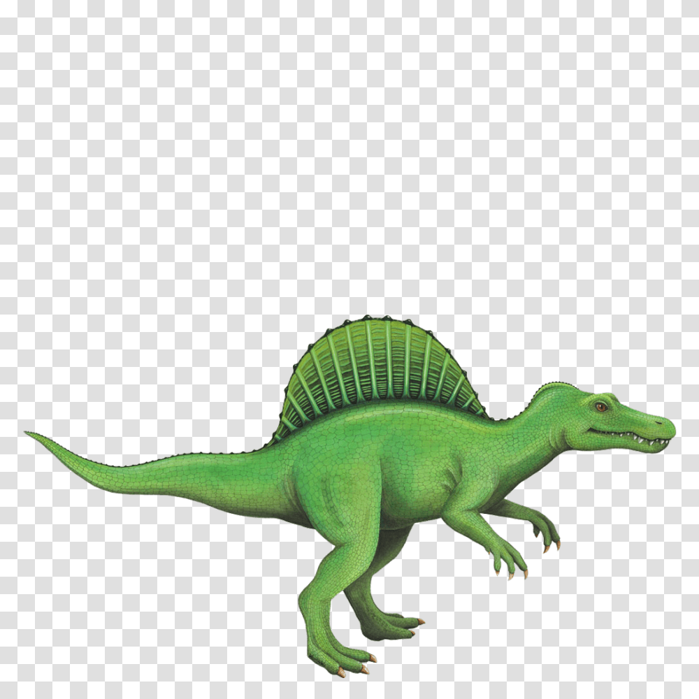 Spinosaurus Wall Sticker, Dinosaur, Reptile, Animal, T-Rex Transparent Png