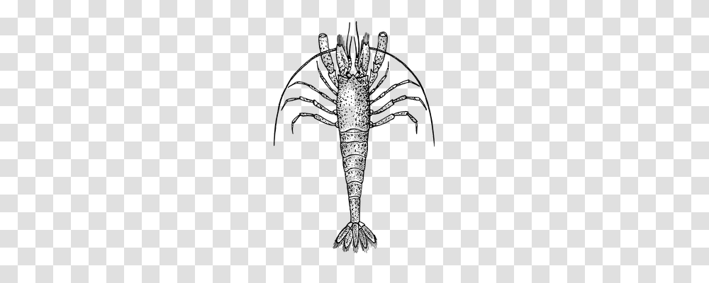 Spiny Lobster Technology, Gray, World Of Warcraft Transparent Png