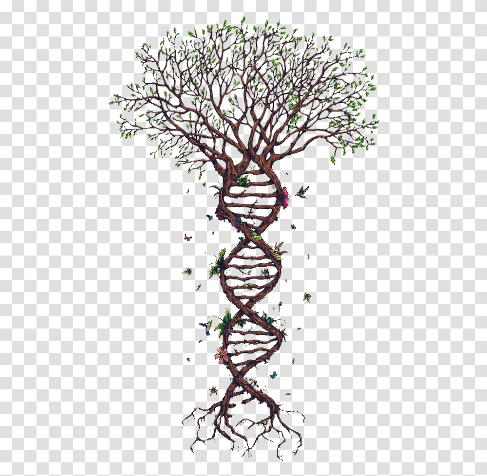 Spiral Clipart Tree With Dna Roots, Nature, Outdoors, Plant, Landscape Transparent Png